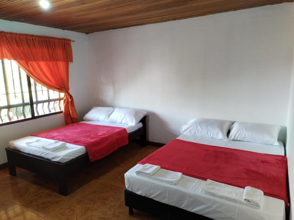 Finca Santa Helena photo 4