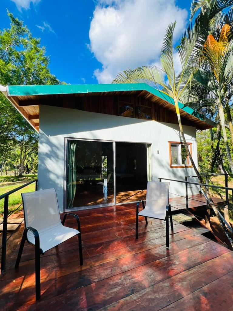 Ficus house photo 3