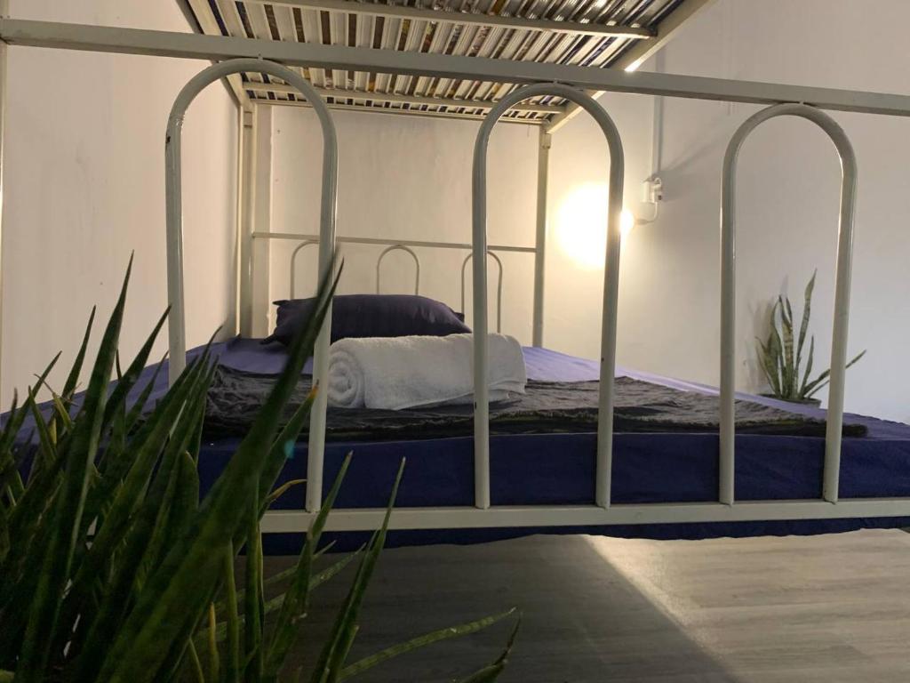Villa Martial Arts Gym & Guesthouse photo 1
