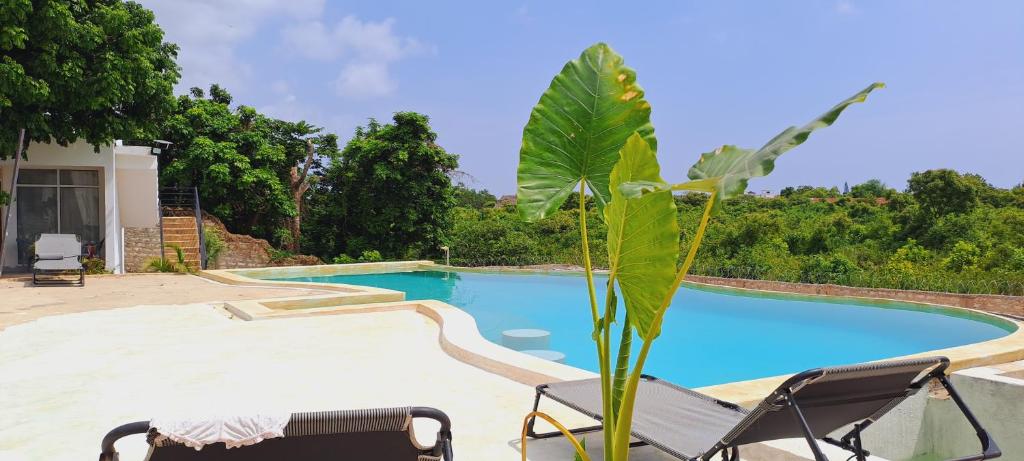 Cave Diani Holiday Apartments photo 1