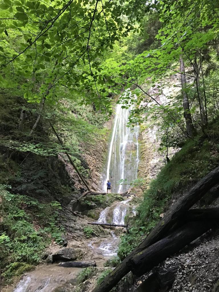 Almglück photo 1