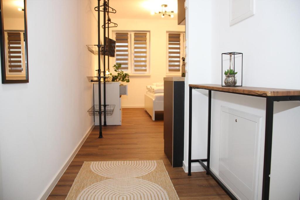 Nibelungen Apartments - Hantalgasse Worms photo 3