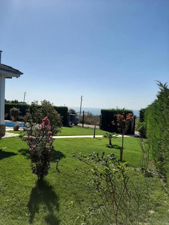 Villa Bellerose photo 3