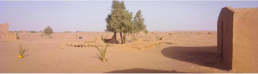 Camp Cheri Beri photo 4
