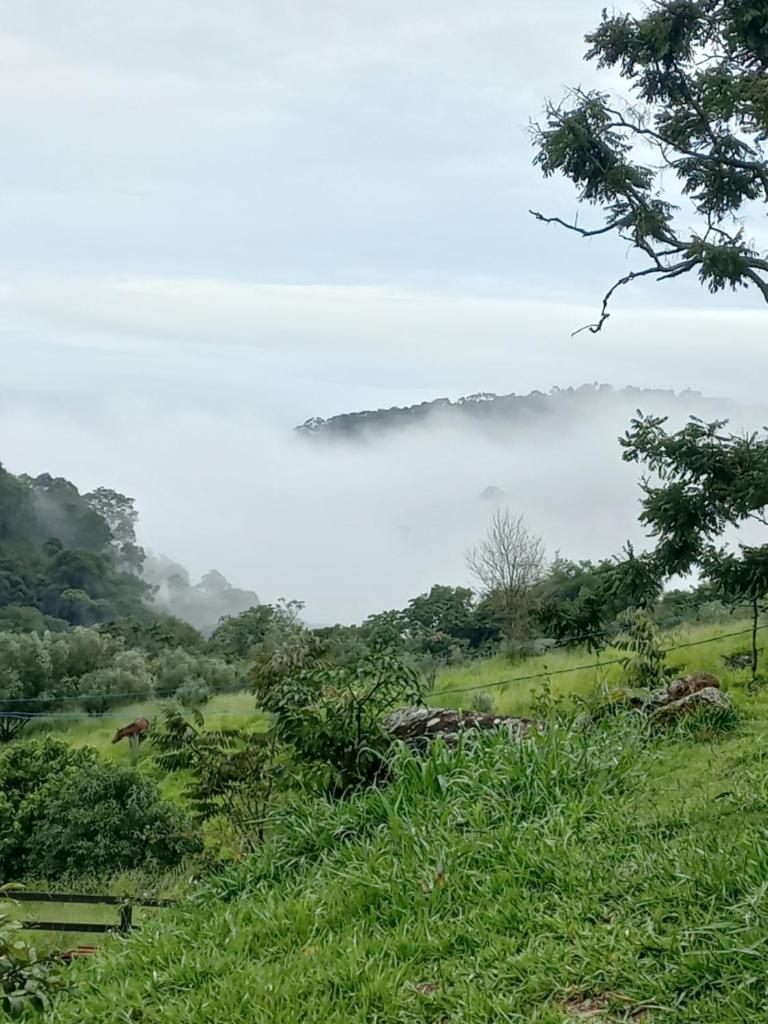 Chalé Araucária- Vale das Pedras MG photo 3