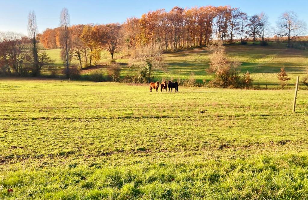 Val de Gorce photo 4