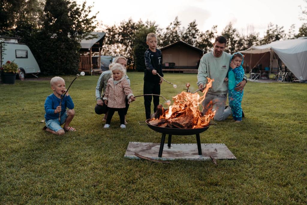 Chalet Tulpenweide - recreatie photo 1