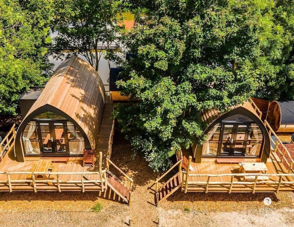 Boomhuis met optioneel wellness - Vakantiepark de Schreiershoek photo 1
