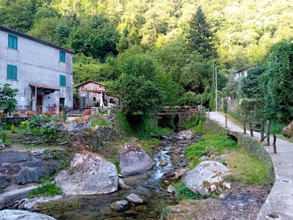 Gli Orti di Mulina (le Apuane con parcheggio privato) photo 3