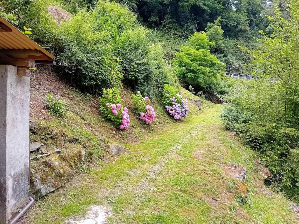 Gli Orti di Mulina (le Apuane con parcheggio privato) photo 1