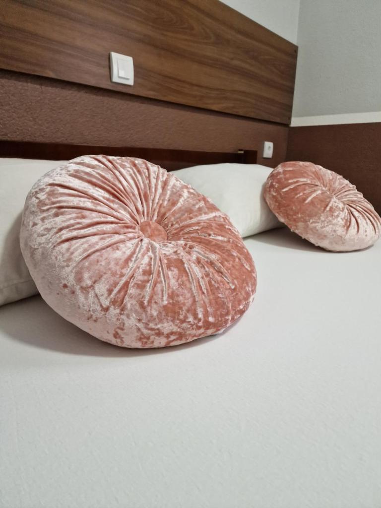 Hotel Djerdan photo 3