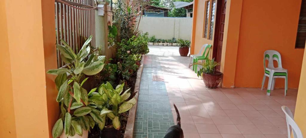 Jessa's 5 Guests house photo 2