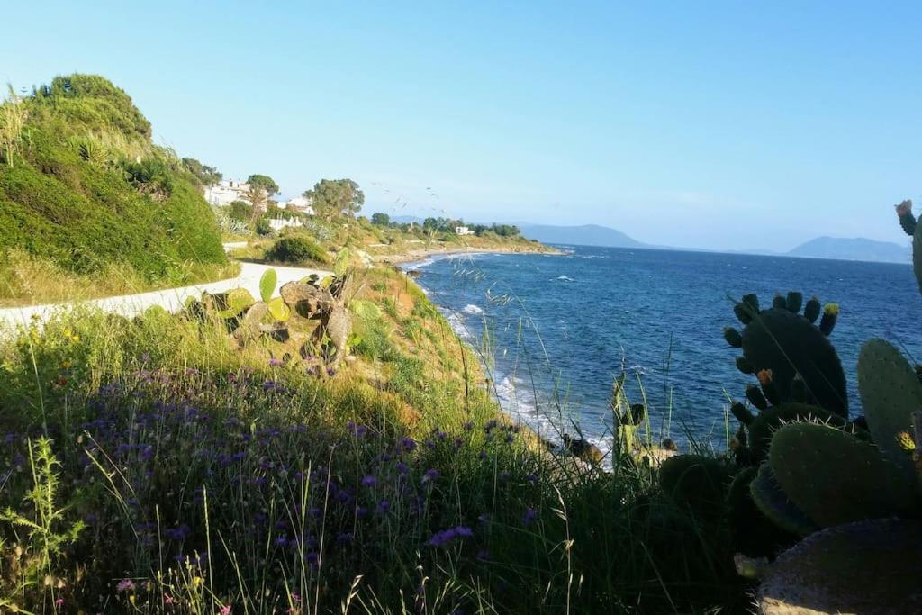 Penelope's Home,Mytikas photo 3