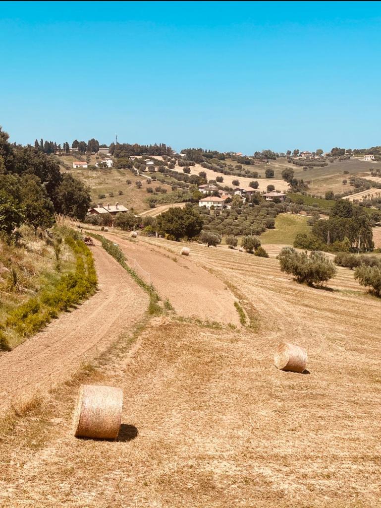 Casavacanze Valleverde a Mosciano Sant'Angelo photo 1