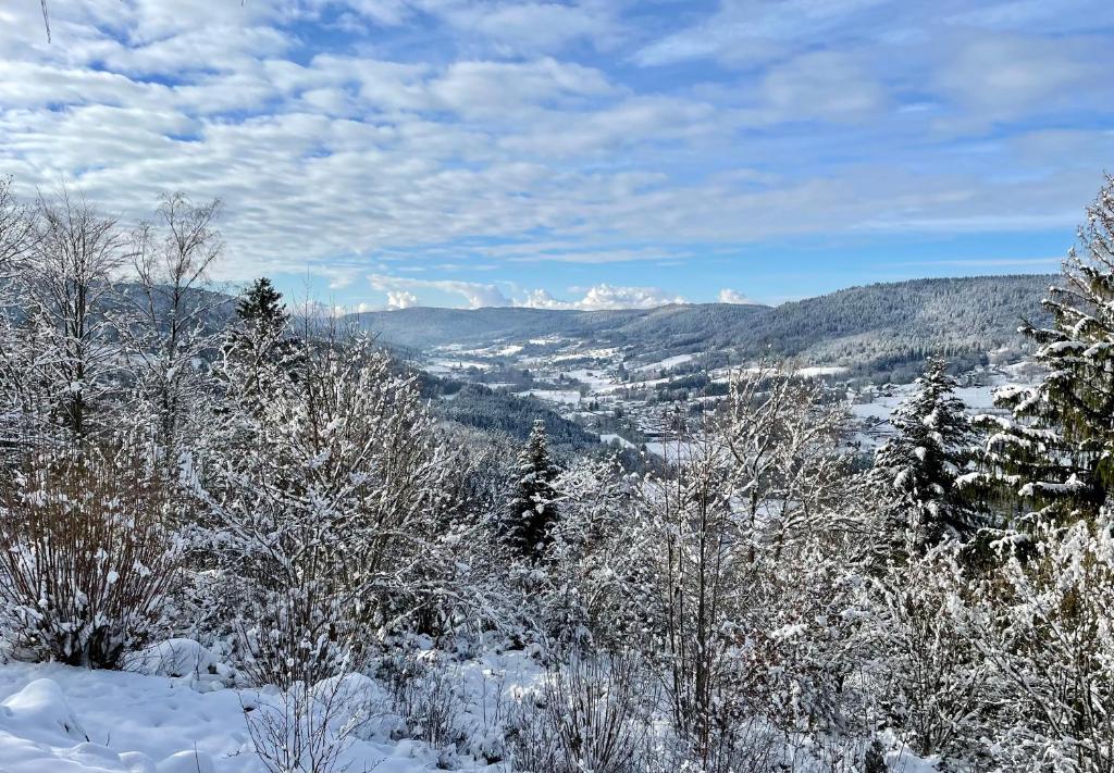 Le gîte cozy de Bouvacôte avec vue panoramique photo 2