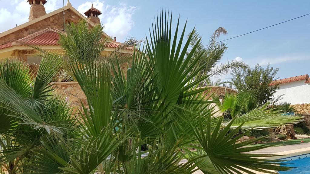 Charming Villa La Mar photo 3