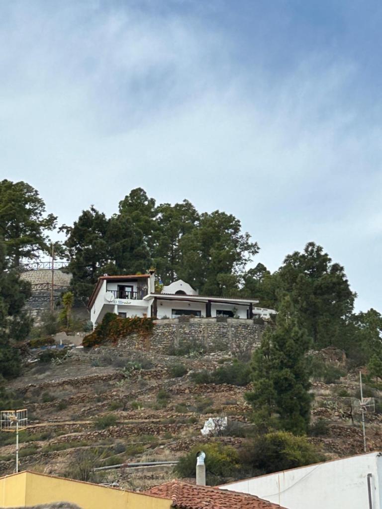 El Mirador photo 1