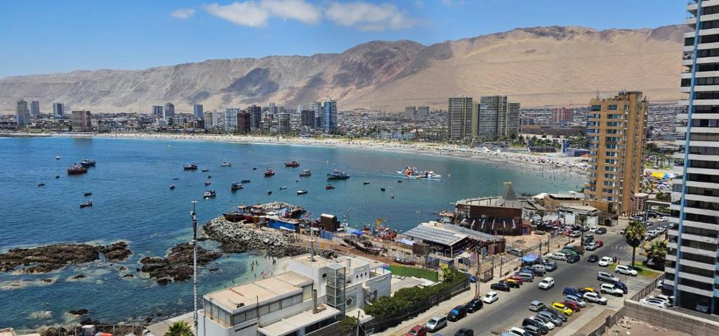 Nautilus Peninsula Piso 14 (Cerca de Todo)