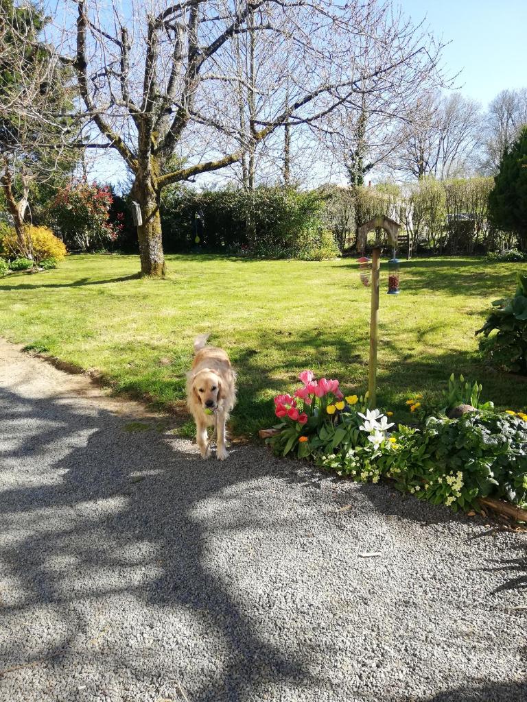 Papillons B&B - beauty, comfort and peace 25 mins from Puy du Fou photo 4