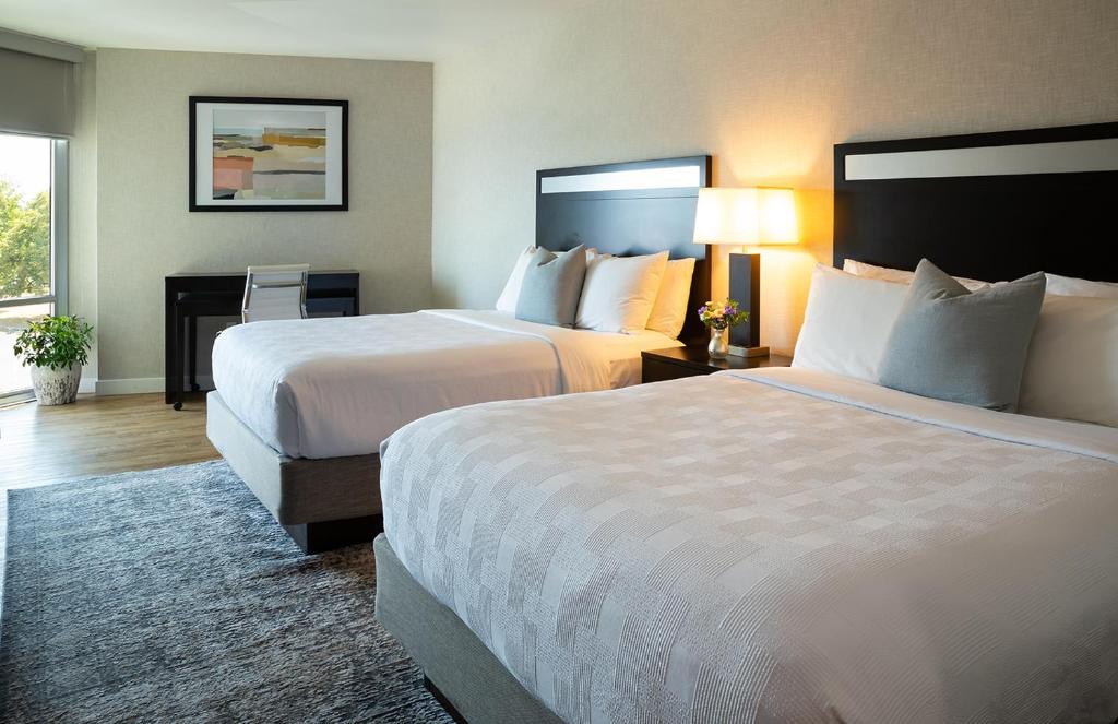 Delamar Traverse City photo 3