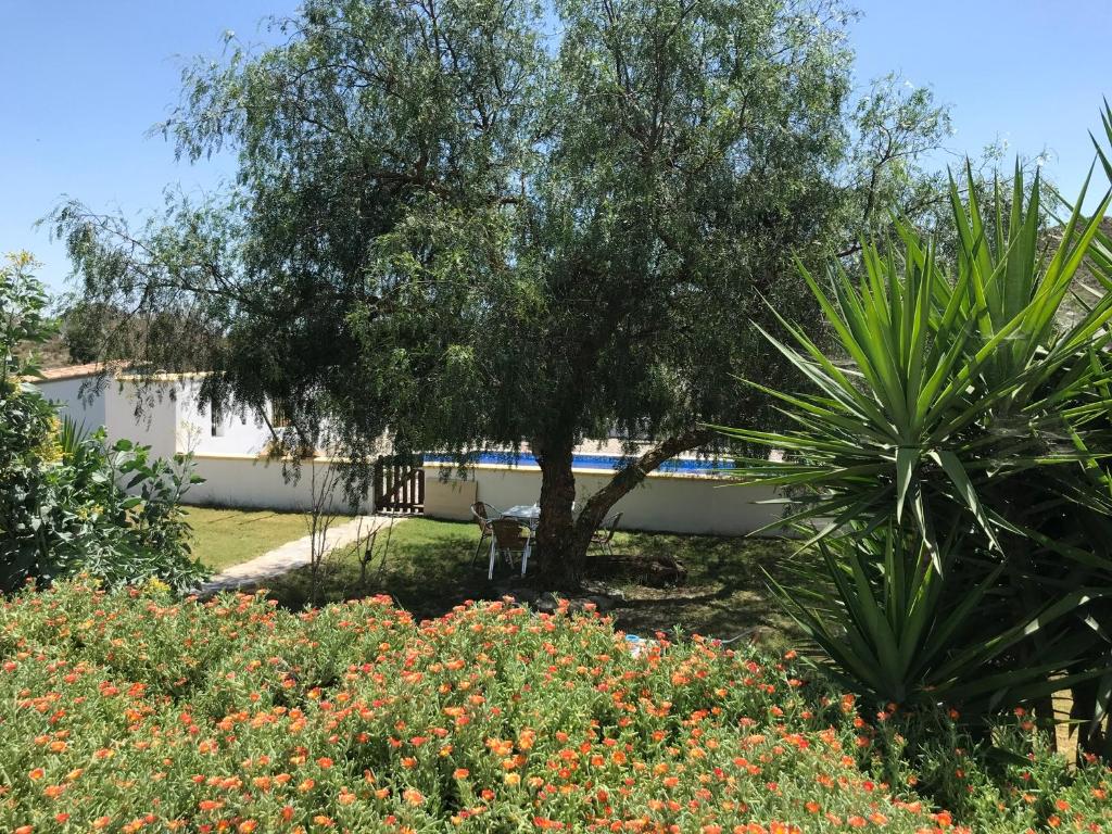 Bella Vista Rural Retreat photo 2