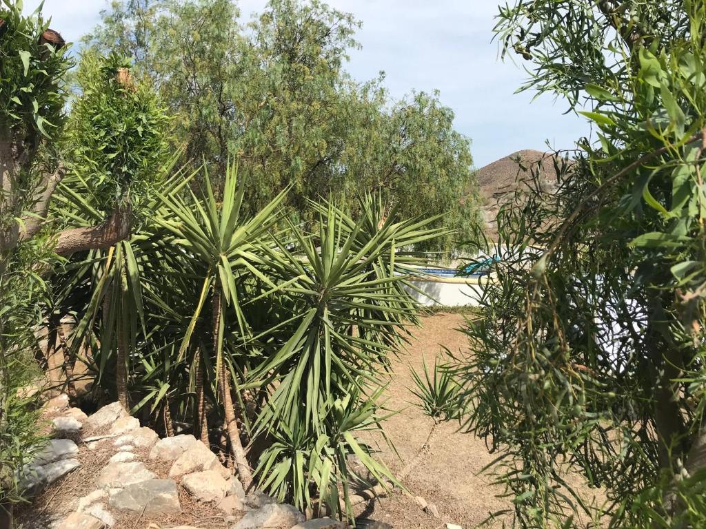 Bella Vista Rural Retreat photo 1