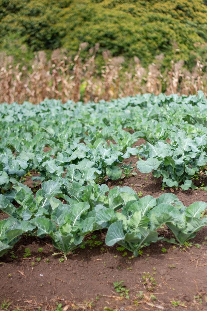 Mountains Of Hope photo 1