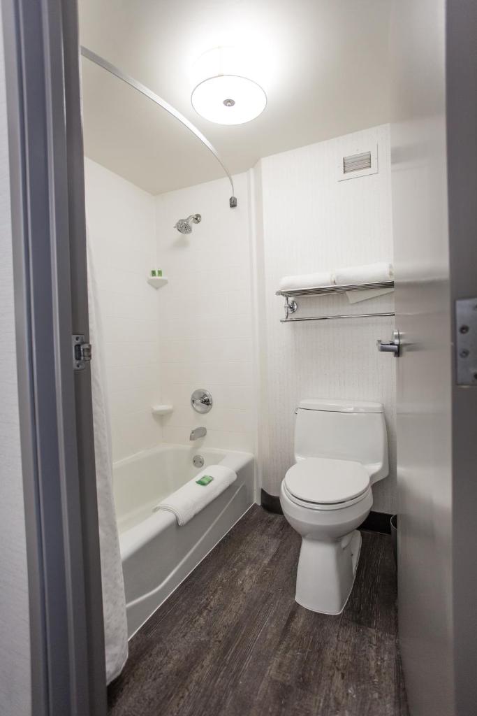 Holiday Inn Grand Rapids Downtown, an IHG Hotel photo 1