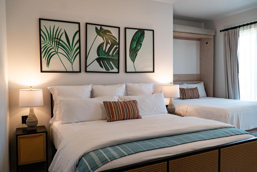 Flamboyan Hotel & Residences photo 3