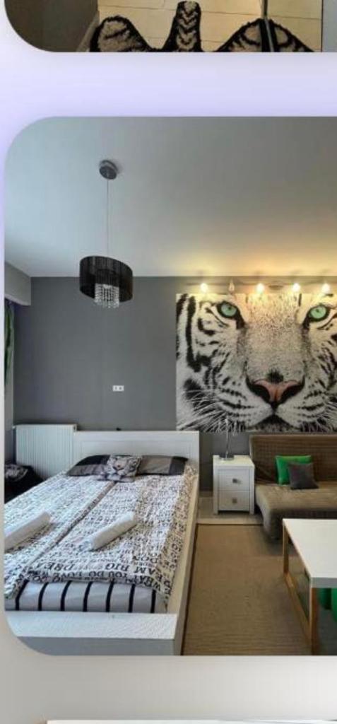 White Tiger in New Gudauri II