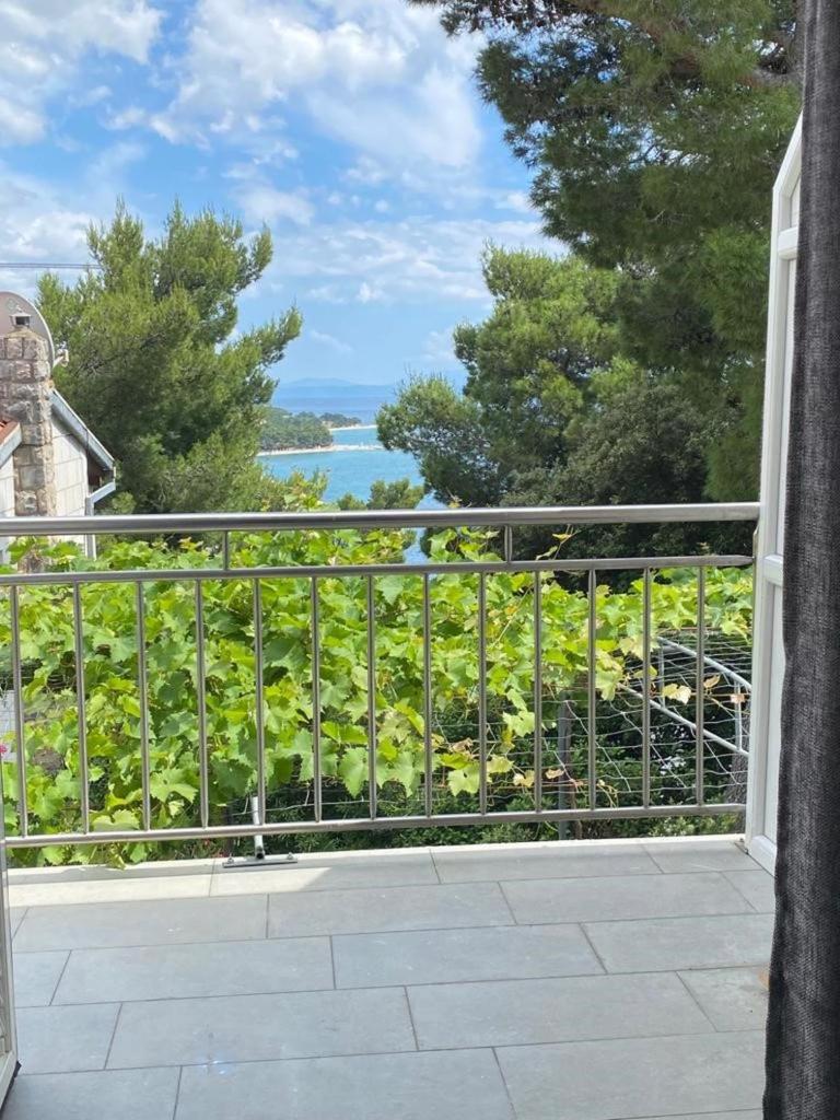 Apartments VILLA DVORSKI photo 1