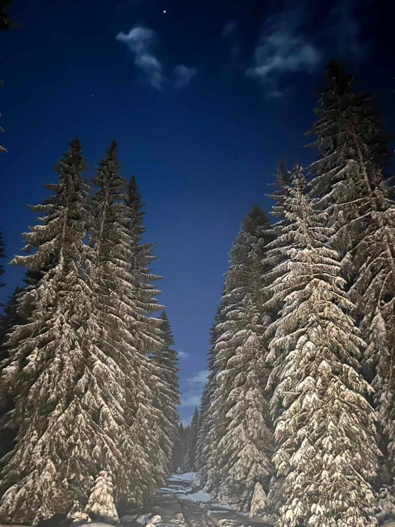 Bobbie's Cottage - Bobijeva Vikendica