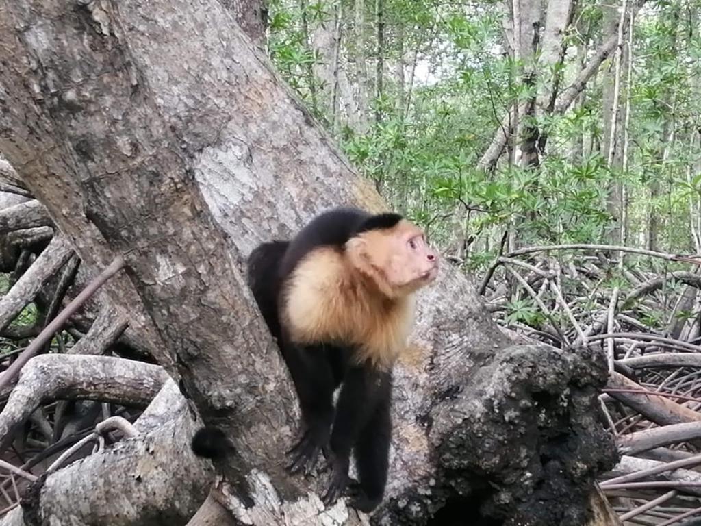 Adventurelalotour photo 1