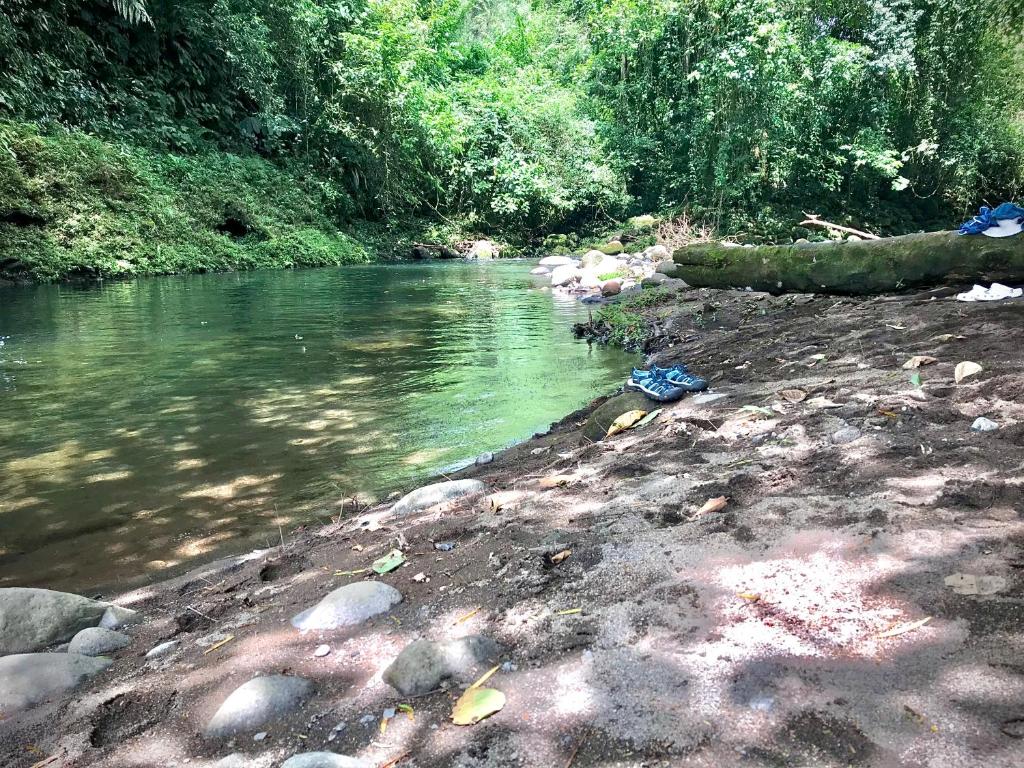 Cabaña Río Blanco Guapiles Costa Rica photo 1