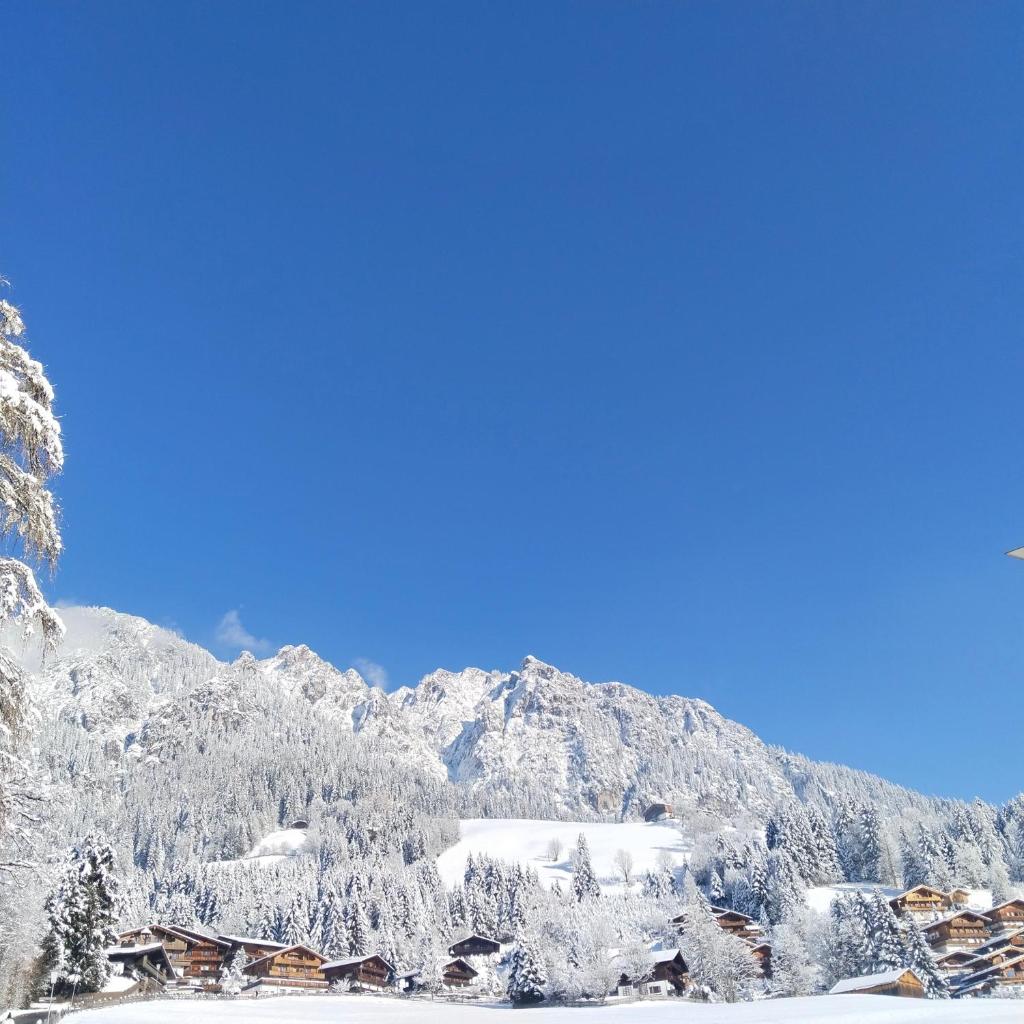 Alpbachblick photo 4