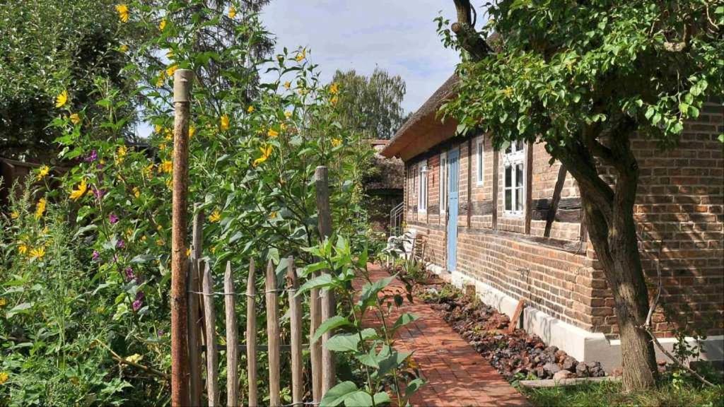 Historisches Reetdachhaus mit Bauwagen und großem Obstgarten photo 2