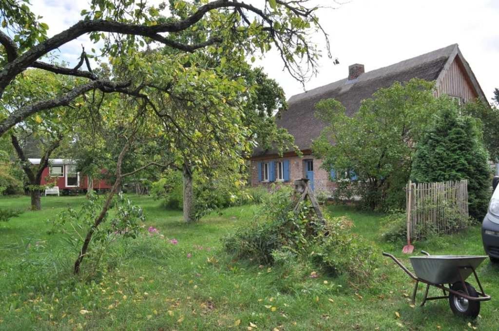 Historisches Reetdachhaus mit Bauwagen und großem Obstgarten photo 3