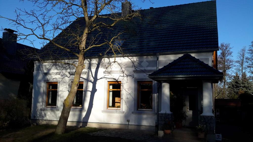 Ferienwohnung "Im Alten Kapitänshaus"