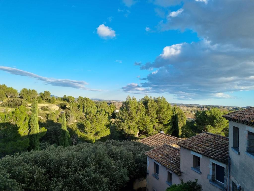 Les Garrigues de la Vallée des Baux photo 2