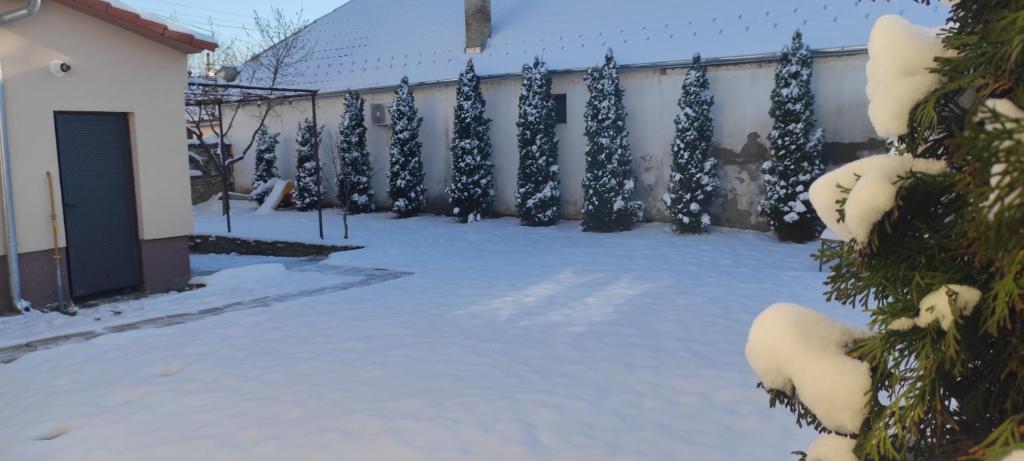 Apartmani Kačara photo 4