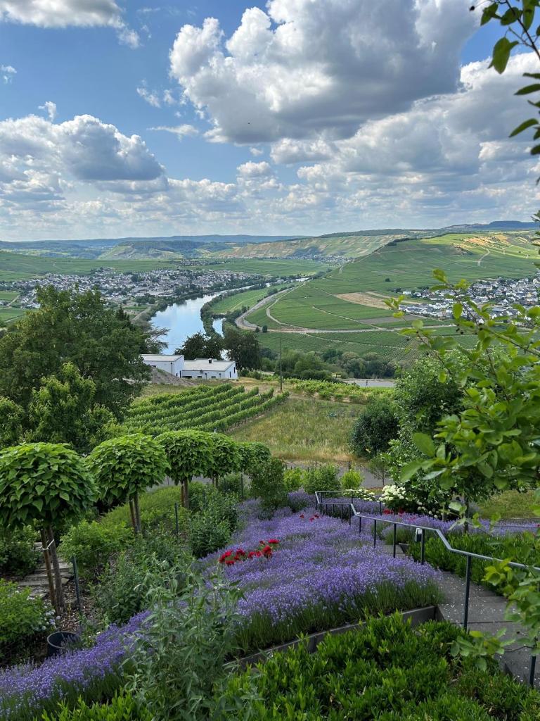Ferienwohnung "Auszeit Im alten Weinberg" photo 2