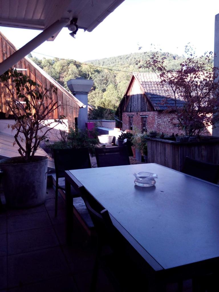 "Côté nature", appartement cosy au cœur de Munster photo 1
