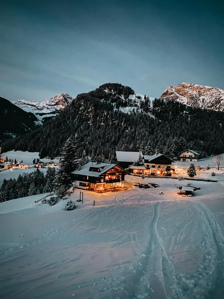 Mountain Chalet Pra Ronch photo 2