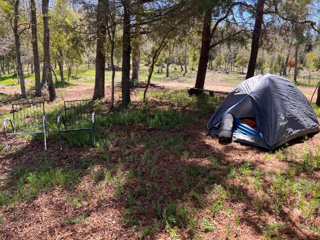 Camping don Zacarías