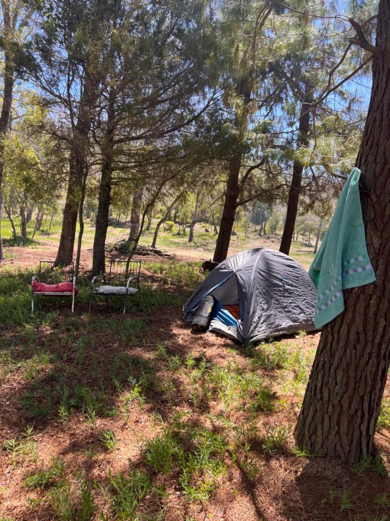Camping don Zacarías photo 1