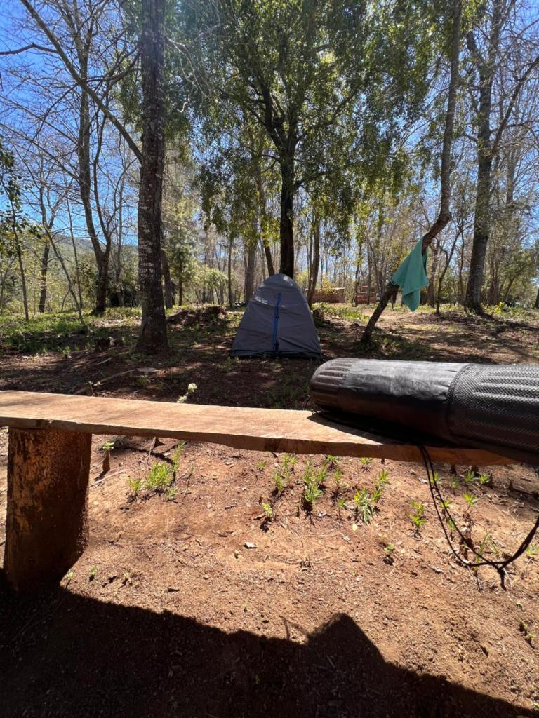 Camping don Zacarías photo 3