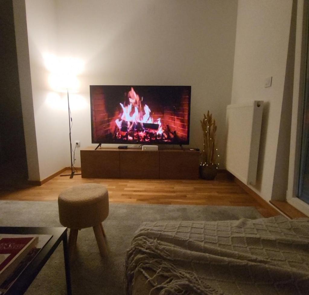APARTMENT MOSCOW VRBAS photo 1