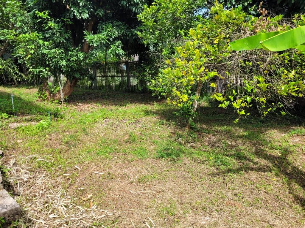 Ninetynine country house photo 4