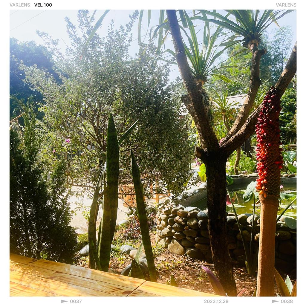 NHÀ CỦA CHI - HOMESTAY & COFFEE