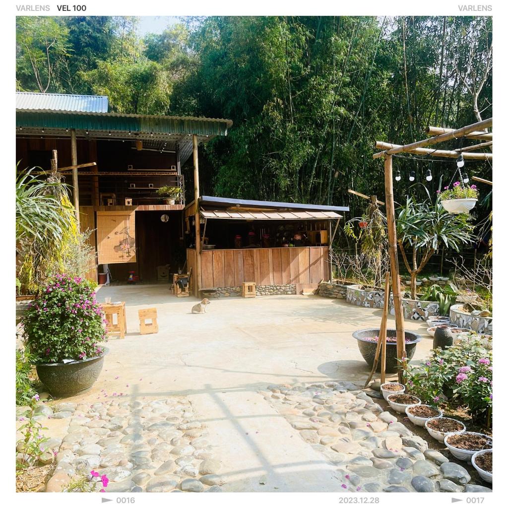 NHÀ CỦA CHI - HOMESTAY & COFFEE